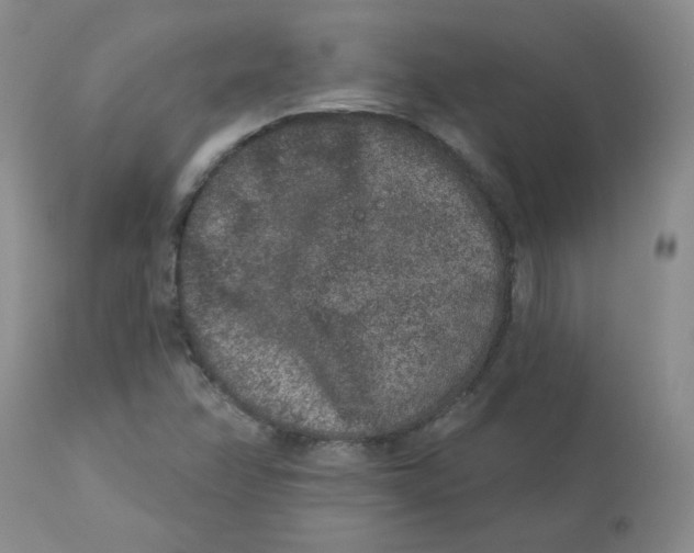 X0000112861358200909111459