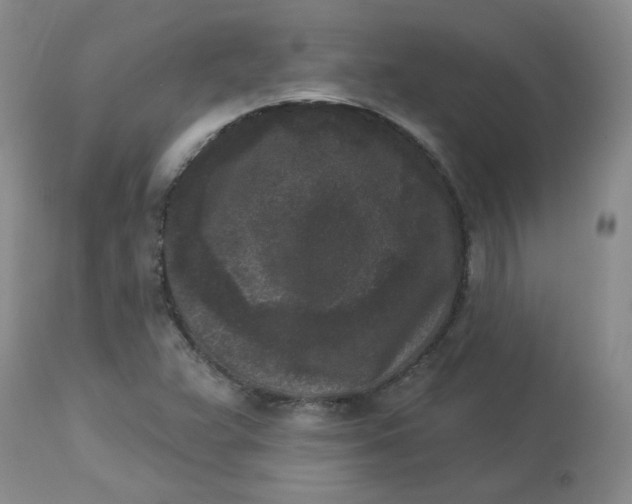 X0000112861359200909111459