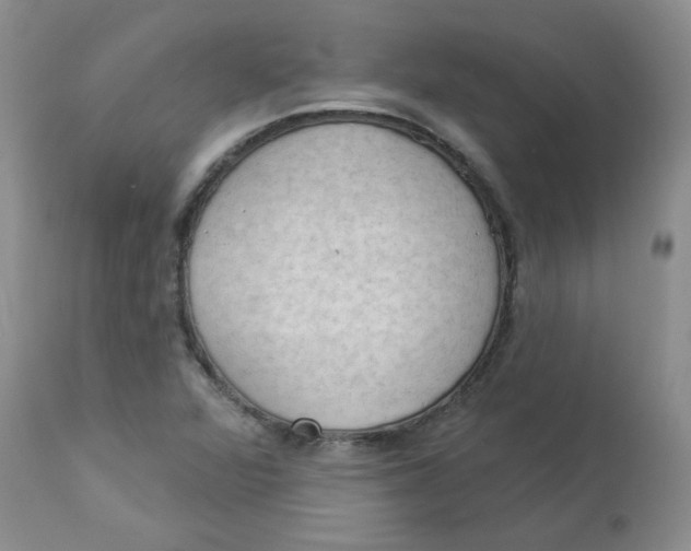 X0000112861360200909111459