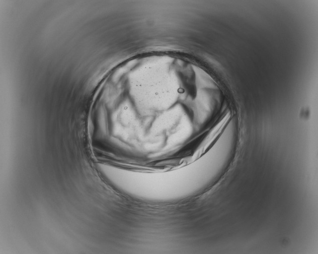 X0000112861361200909111459