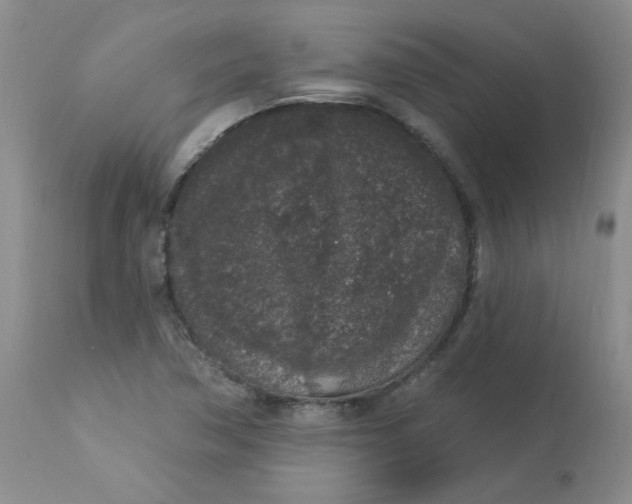 X0000112861362200909111459