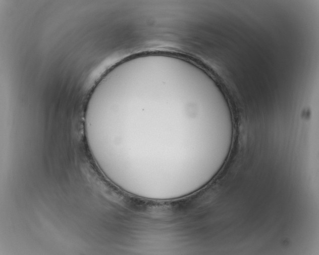 X0000112861363200909111459