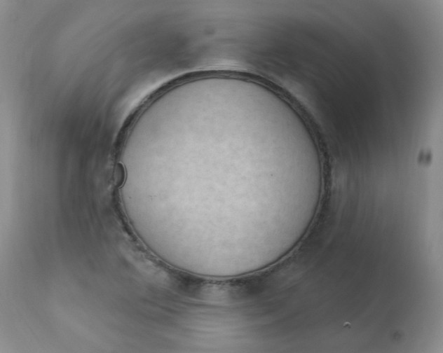 X0000112861364200909111459