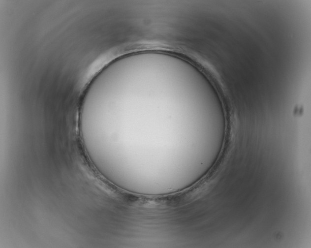 X0000112861365200909111459