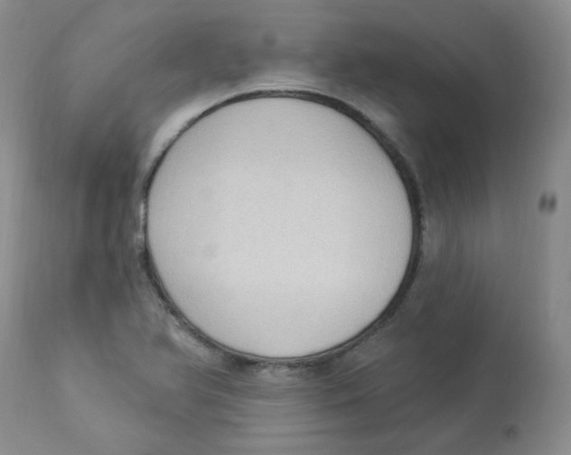 X0000112861366200909111459