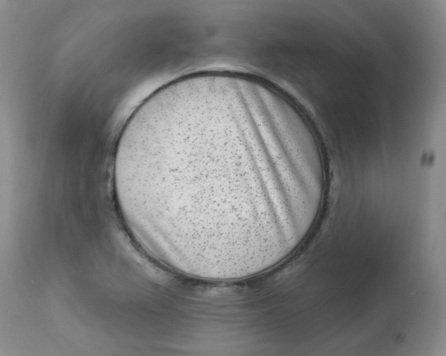 X0000112861367200909111459