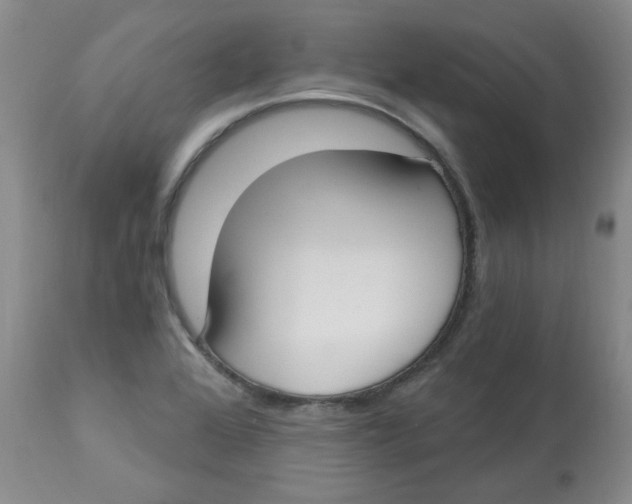 X0000112861368200909111459