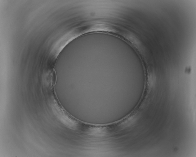 X0000112861369200909111459