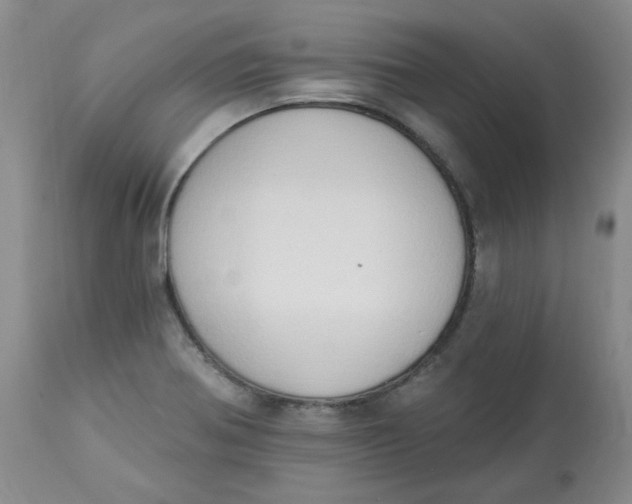 X0000112861370200909111459