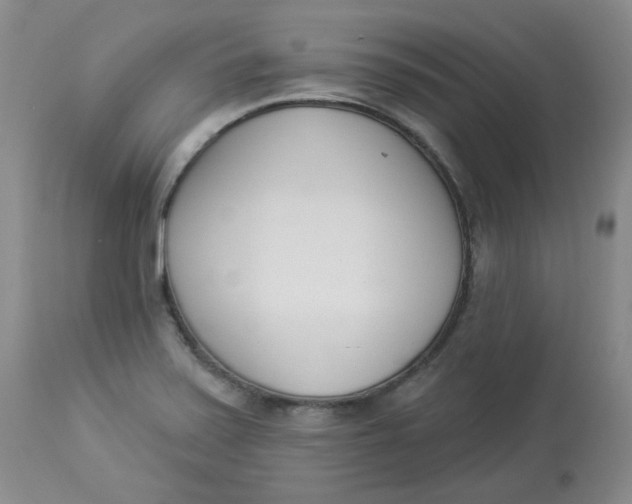 X0000112861371200909111459