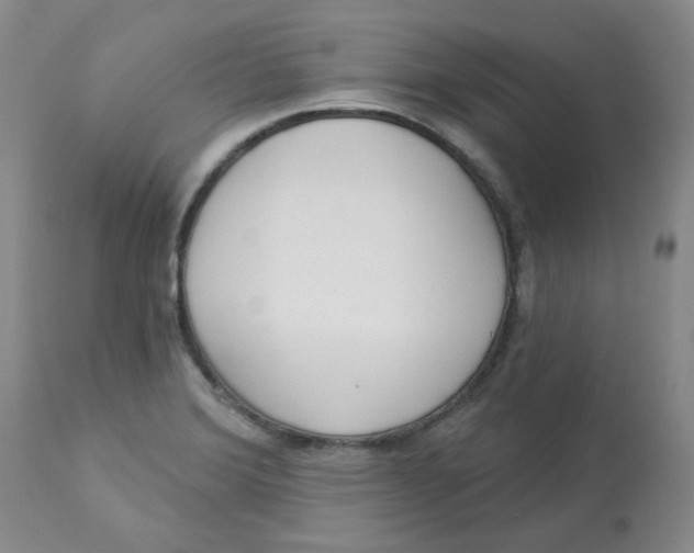 X0000112861372200909111459