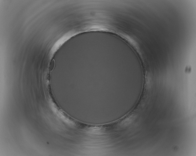 X0000112861373200909111458