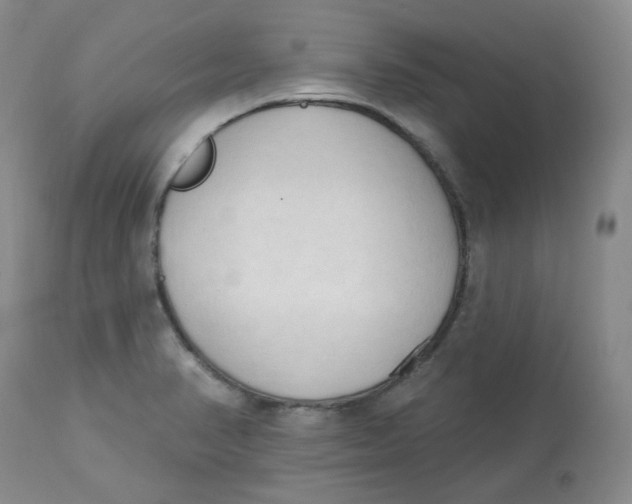 X0000112861374200909111458