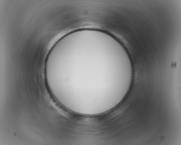 X0000112861375200909111458