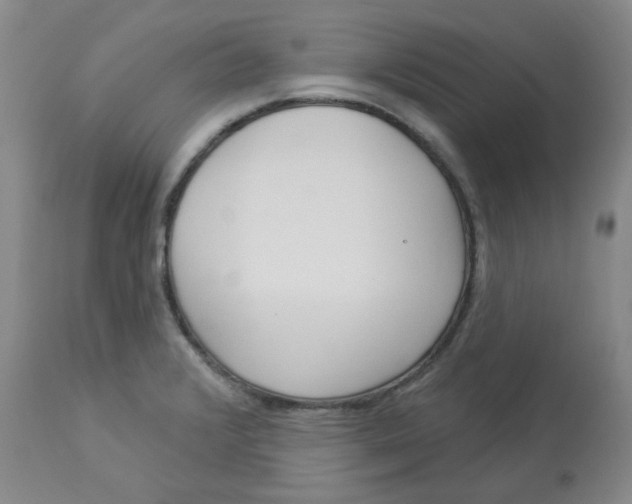 X0000112861376200909111458