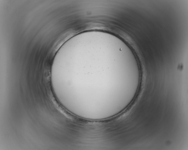 X0000112861377200909111458