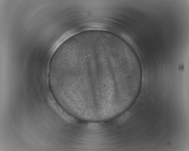 X0000112861378200909111458