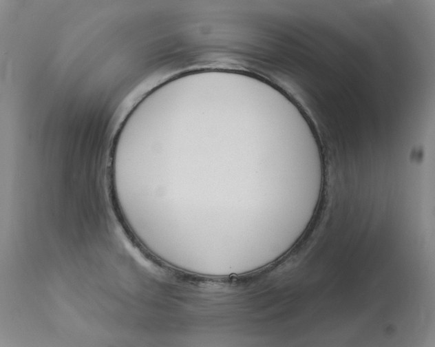 X0000112861379200909111458