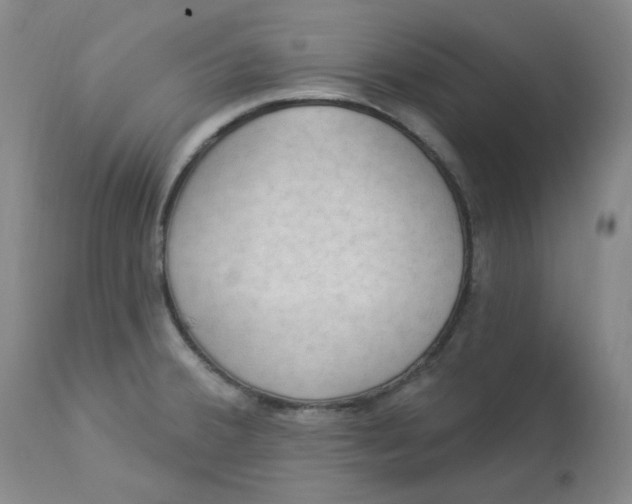 X0000112861380200909111458