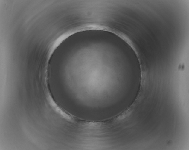 X0000112861381200909111458