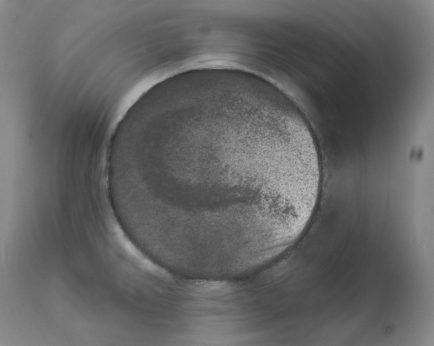 X0000112861382200909111458