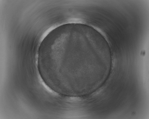 X0000112861383200909111458