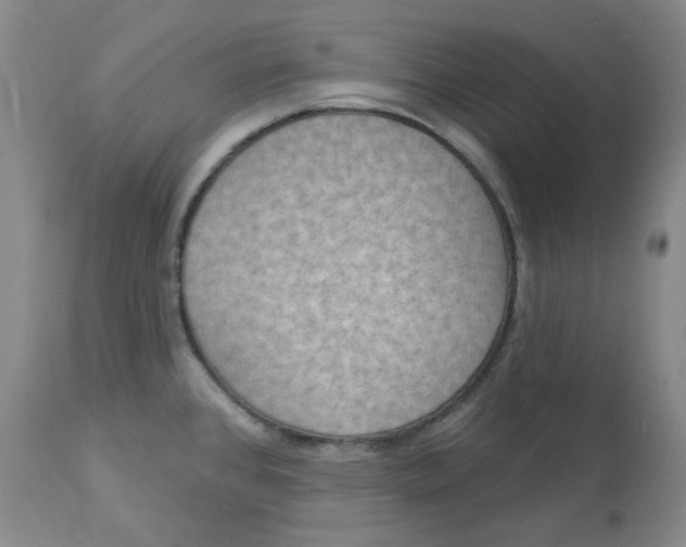 X0000112861384200909111458