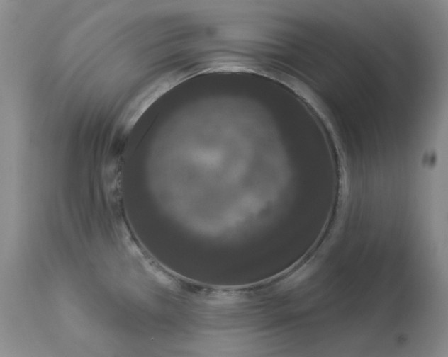 X0000112861385200909111458