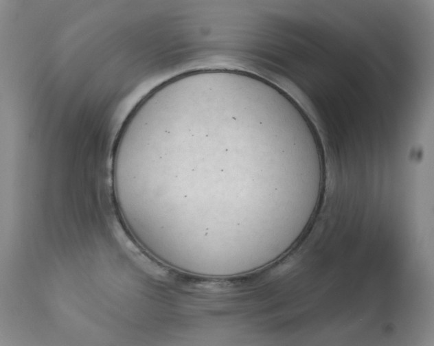 X0000112861388200909111458