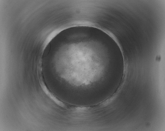 X0000112861389200909111458