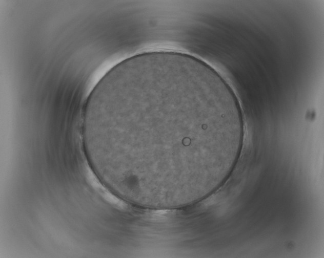 X0000112861390200909111458