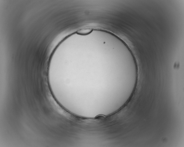 X0000112861392200909111458