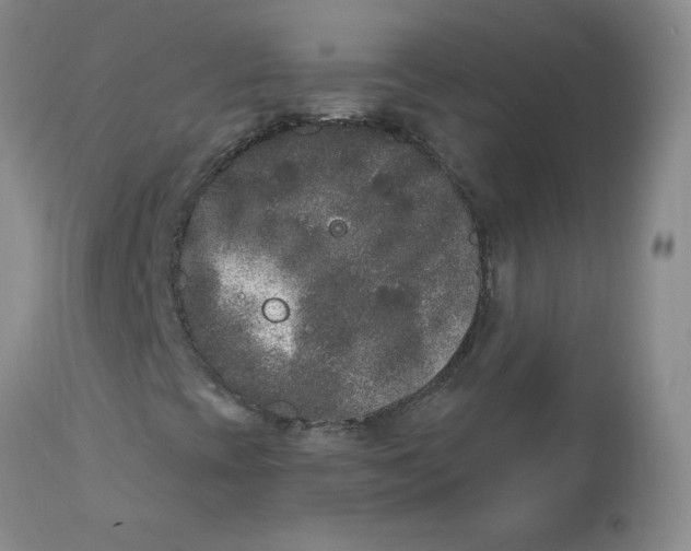 X0000112861393200909111457