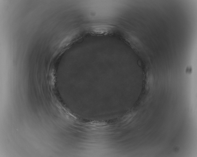 X0000112861394200909111457