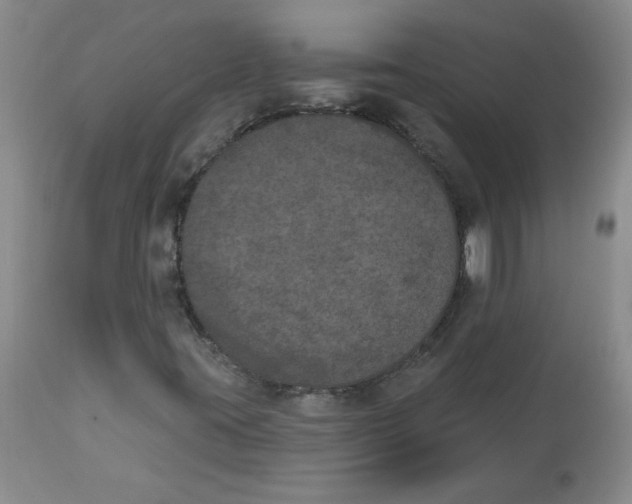 X0000112861395200909111457