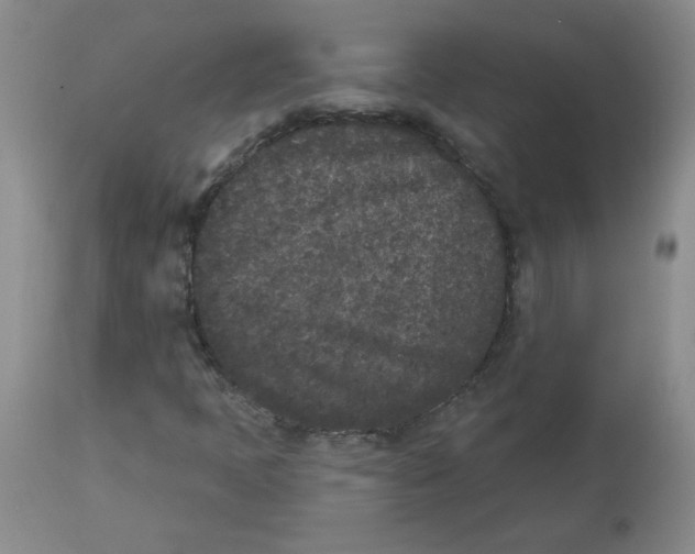 X0000112861397200909111458