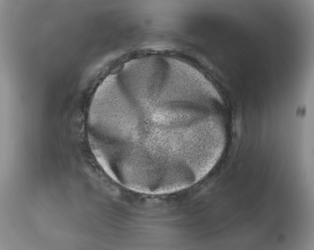 X0000112861398200909111458