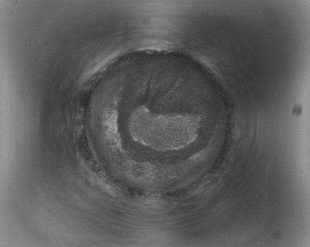 X0000112861399200909111458