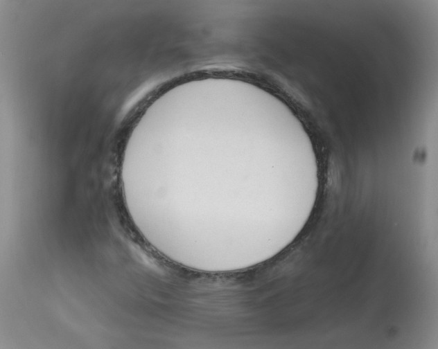 X0000112861400200909111458