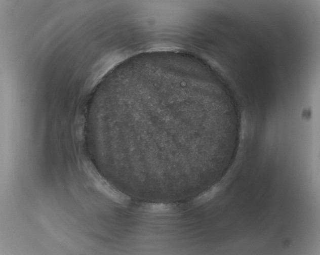 X0000112861401200909111458