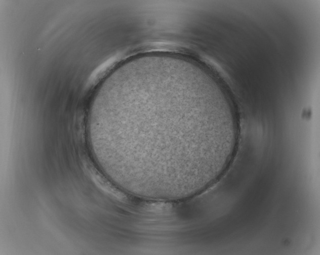 X0000112861403200909111458