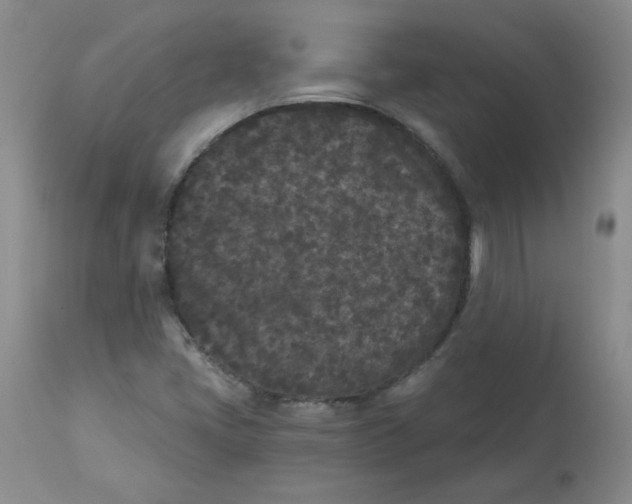 X0000112861405200909111458