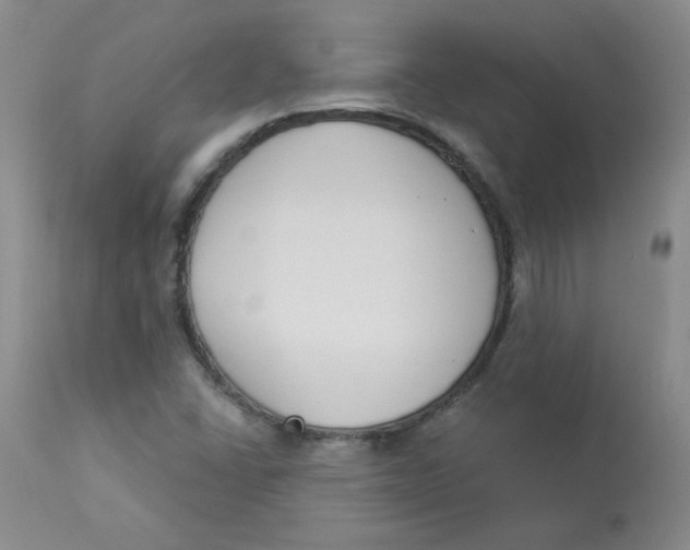 X0000112861406200909111458