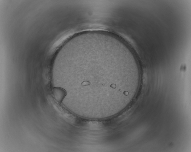 X0000112861407200909111458