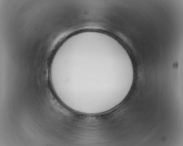 X0000112861408200909111458