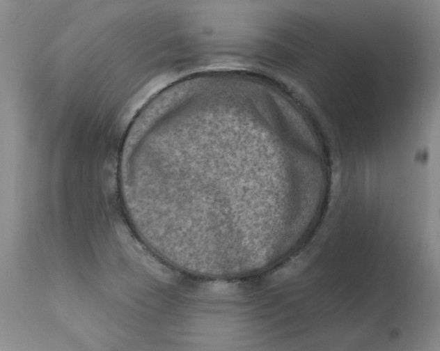 X0000112861409200909111458