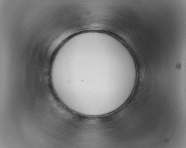 X0000112861410200909111458