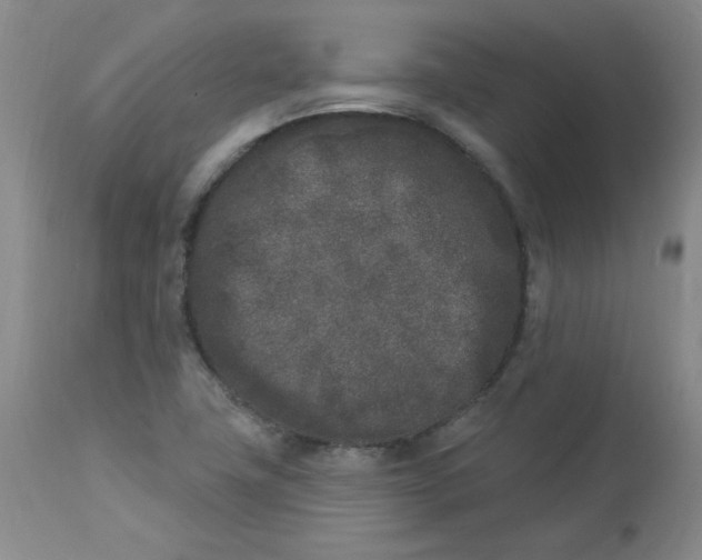 X0000112861411200909111458