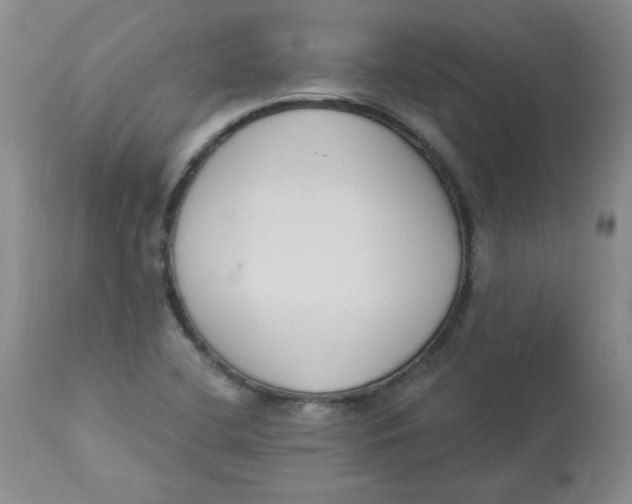 X0000112861412200909111458