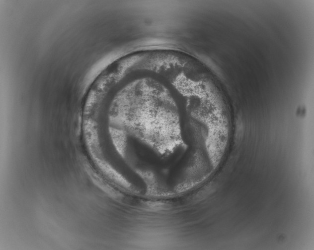 X0000112861413200909111458